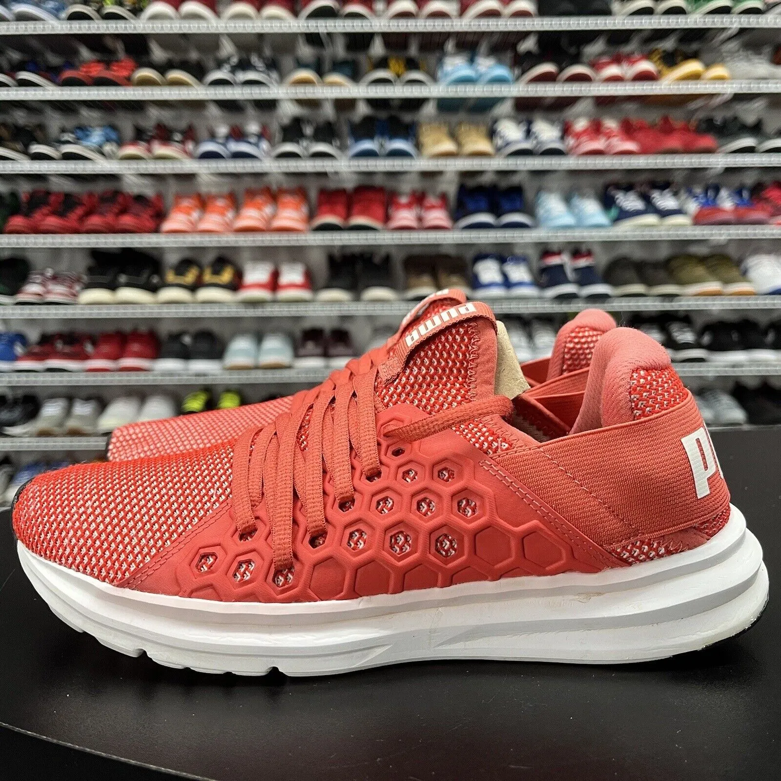 PUMA Women's Enzo NF Running Shoe 190933 03 Women's Size 8.5